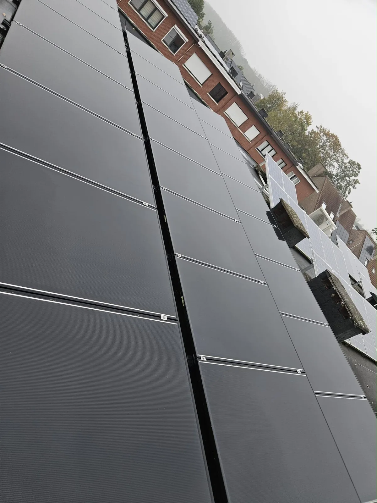 Gereinigde zonnepanelen van dichtbij