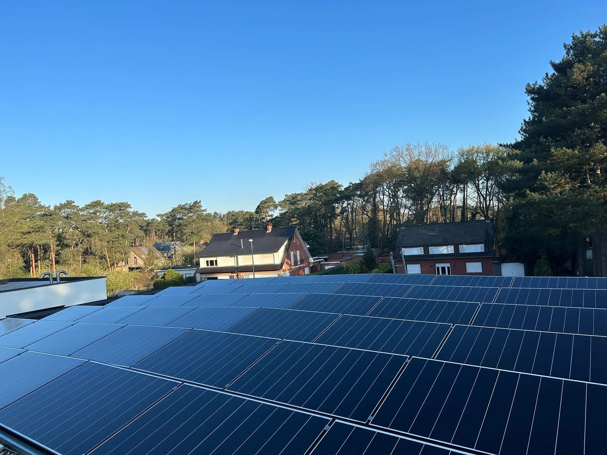 Groot veld zonnepanelen op een plat dak